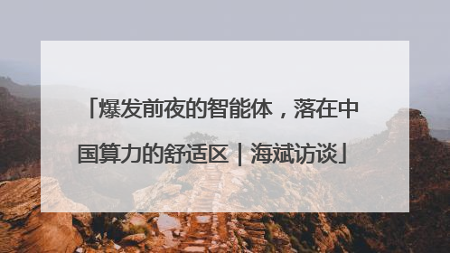 爆发前夜的智能体，落在中国算力的舒适区｜海斌访谈