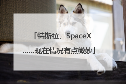 特斯拉、SpaceX……现在情况有点微妙