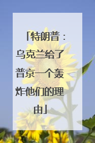 特朗普：乌克兰给了普京一个轰炸他们的理由