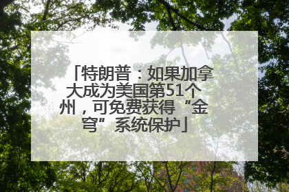特朗普：如果加拿大成为美国第51个州，可免费获得“金穹”系统保护