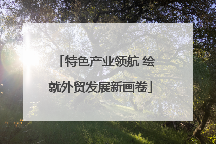 特色产业领航 绘就外贸发展新画卷