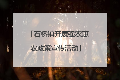 石桥镇开展强农惠农政策宣传活动