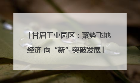 甘眉工业园区：聚势飞地经济 向“新”突破发展