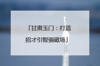 甘肃玉门：打造招才引智强磁场