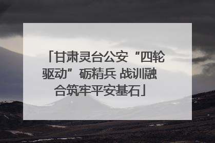 甘肃灵台公安“四轮驱动”砺精兵 战训融合筑牢平安基石