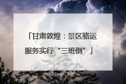 甘肃敦煌：景区骆运服务实行“三班倒”