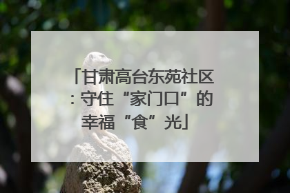 甘肃高台东苑社区：守住“家门口”的幸福“食”光