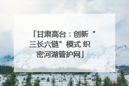 甘肃高台：创新“三长六链”模式 织密河湖管护网