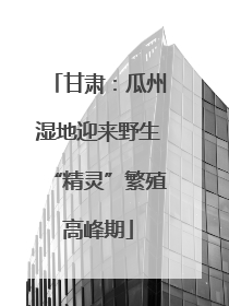 甘肃：瓜州湿地迎来野生“精灵”繁殖高峰期
