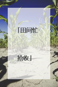 田间忙抢收