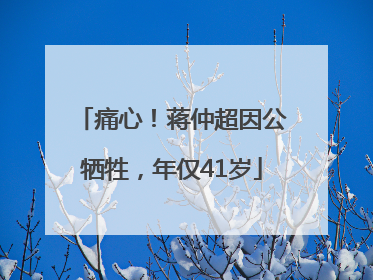 痛心！蒋仲超因公牺牲，年仅41岁