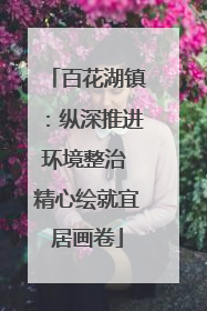 百花湖镇：纵深推进环境整治 精心绘就宜居画卷