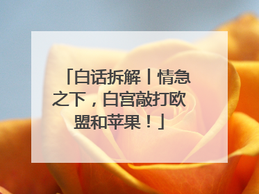白话拆解丨情急之下，白宫敲打欧盟和苹果！