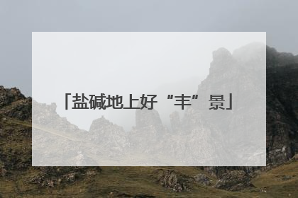 盐碱地上好“丰”景