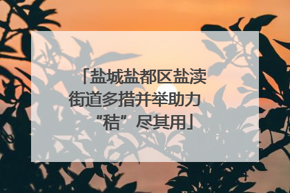 盐城盐都区盐渎街道多措并举助力“秸”尽其用