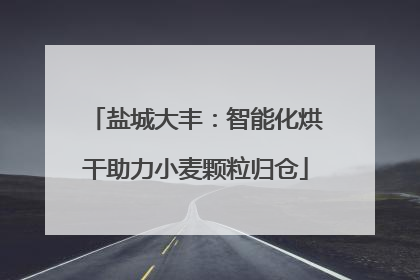 盐城大丰：智能化烘干助力小麦颗粒归仓