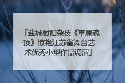 盐城射阳杂技《草原魂·顶》惊艳江苏省舞台艺术优秀小型作品调演