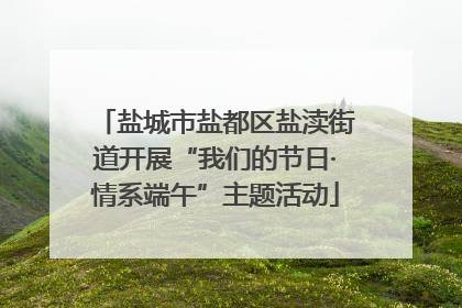 盐城市盐都区盐渎街道开展“我们的节日·情系端午”主题活动