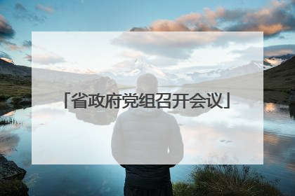 省政府党组召开会议