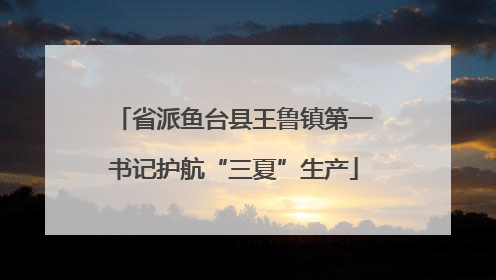 省派鱼台县王鲁镇第一书记护航“三夏”生产