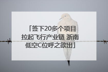 签下20多个项目 拉起飞行产业链 浙南低空C位呼之欲出