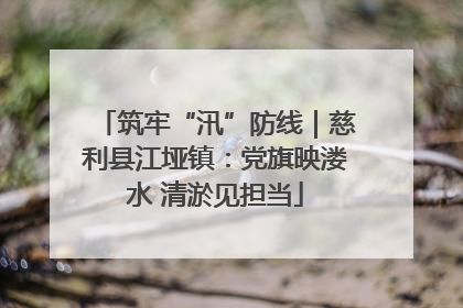 筑牢“汛”防线｜慈利县江垭镇：党旗映溇水 清淤见担当