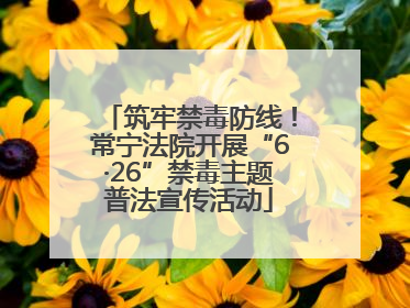 筑牢禁毒防线！常宁法院开展“6·26”禁毒主题普法宣传活动