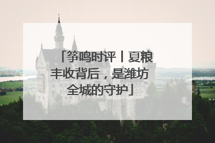 筝鸣时评丨夏粮丰收背后，是潍坊全城的守护
