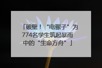 破壁！“电骡子”为774名学生筑起暴雨中的“生命方舟”
