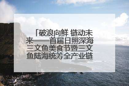 破浪向鲜 链动未来——首届日照深海三文鱼美食节暨三文鱼陆海统筹全产业链发展会议嘉宾访谈