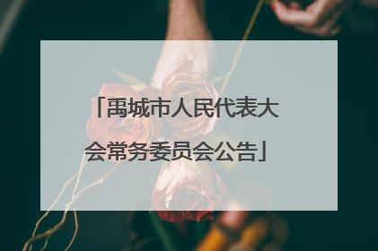 禹城市人民代表大会常务委员会公告