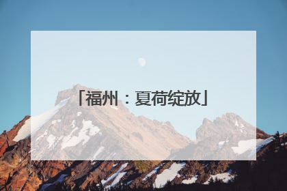 福州：夏荷绽放