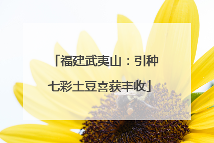 福建武夷山：引种七彩土豆喜获丰收