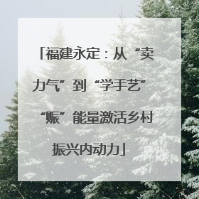 福建永定：从“卖力气”到“学手艺”“赈”能量激活乡村振兴内动力
