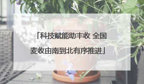 科技赋能助丰收 全国麦收由南到北有序推进