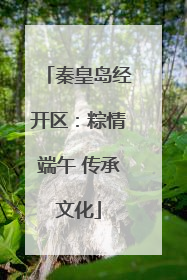 秦皇岛经开区：粽情端午 传承文化