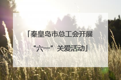 秦皇岛市总工会开展“六一”关爱活动