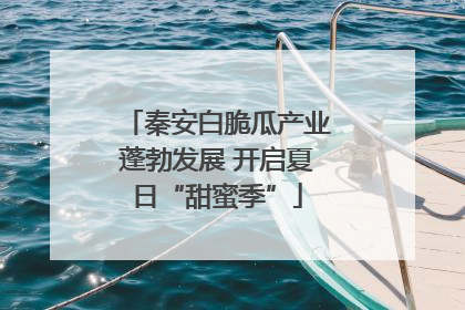 秦安白脆瓜产业蓬勃发展 开启夏日“甜蜜季”