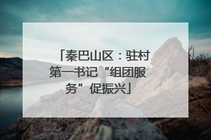 秦巴山区：驻村第一书记“组团服务”促振兴