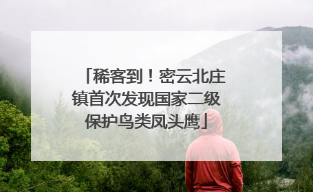 稀客到！密云北庄镇首次发现国家二级保护鸟类凤头鹰