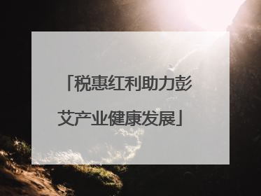 税惠红利助力彭艾产业健康发展