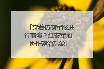 穿着仿制军服进行商演？红安军地协作整治乱象