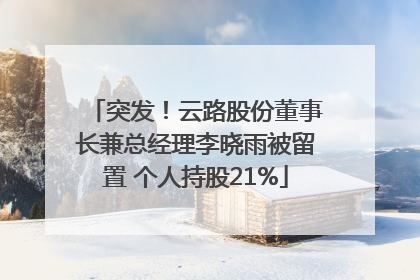 突发！云路股份董事长兼总经理李晓雨被留置 个人持股21%