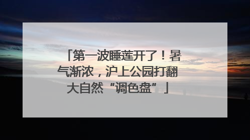 第一波睡莲开了！暑气渐浓，沪上公园打翻大自然“调色盘”