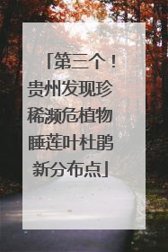 第三个！贵州发现珍稀濒危植物睡莲叶杜鹃新分布点