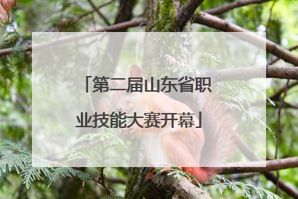 第二届山东省职业技能大赛开幕