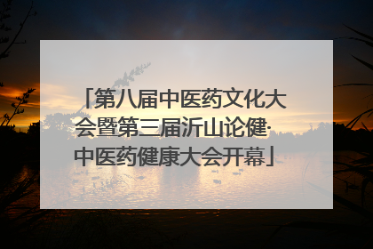 第八届中医药文化大会暨第三届沂山论健·中医药健康大会开幕
