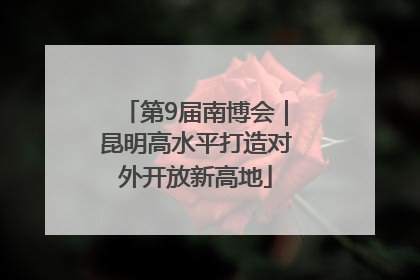 第9届南博会｜昆明高水平打造对外开放新高地