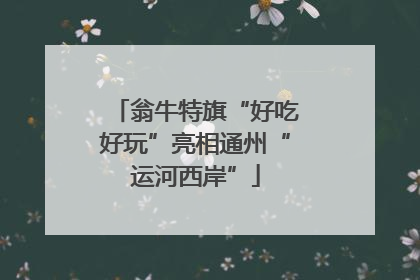 翁牛特旗“好吃好玩”亮相通州“运河西岸”