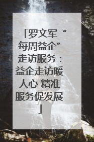 罗文军“每周益企”走访服务：益企走访暖人心 精准服务促发展